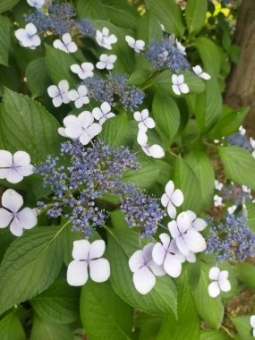 6/14☆よう☆ありがとうございました☆