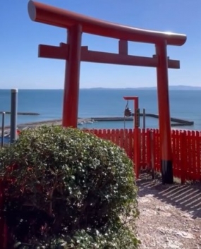 こい　