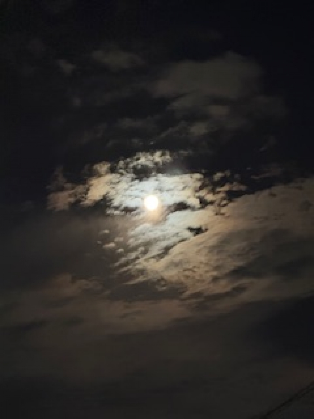 image1.jpeg