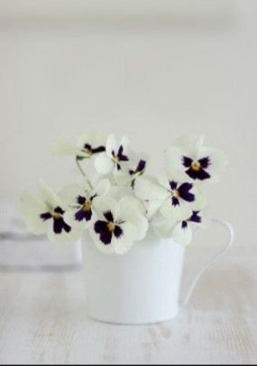 12(金)のありがとっ