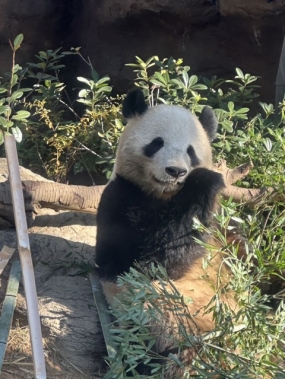 うた★出勤します★