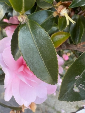 何してますか。