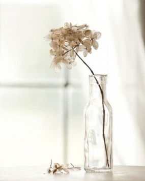 18(水)のありがとっ