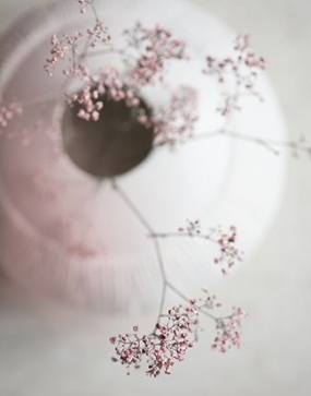 25(水)のありがとっ