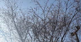 おはようございます。