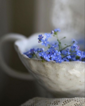 3/1(日)のありがとっ＋2月の