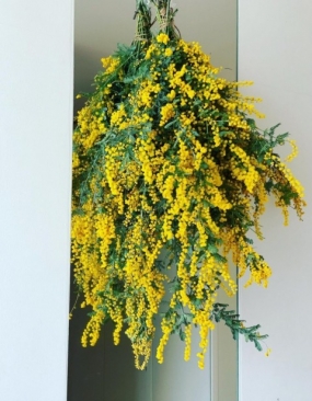 今日は三河安城です！