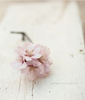 7(土)のありがとっ