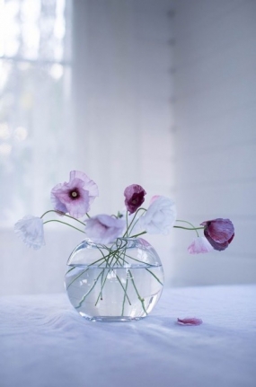 22(日)のありがとっ