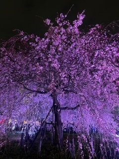 きょうか。刈谷