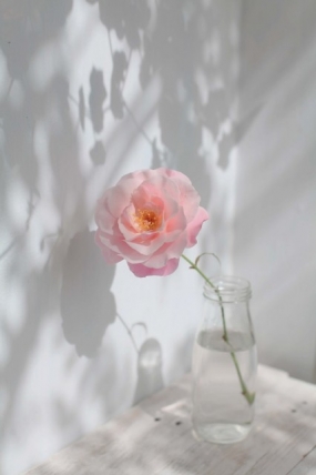 28(土)のありがとっ