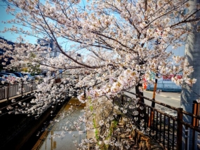 まり★出勤です