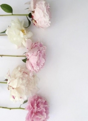 4(土)のありがとっ