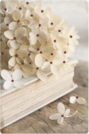 7(火)のありがとっ