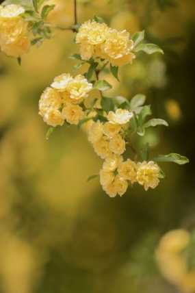 14(火)のありがとっ