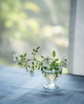 18(土)のありがとっ