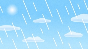 雨空ぽい日ですね