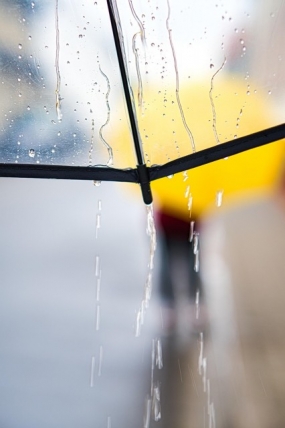 あいにくの雨ですが。。。